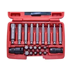 ست سر پیچ گوشتی داناپلاس 6 پر 21 عددی مدل D3941421