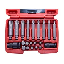 ست سر پیچ گوشتی داناپلاس هزار خار 21 عددی مدل D3941221