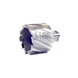 مته گرد بر دریل مگنت HSS رپتور طول 50 میلی متر مدل WHL