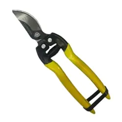 قیچی میوه چین کارناوال مدل 2020