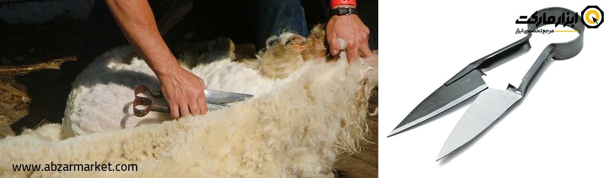 قیچی پشم زنی چیست؟