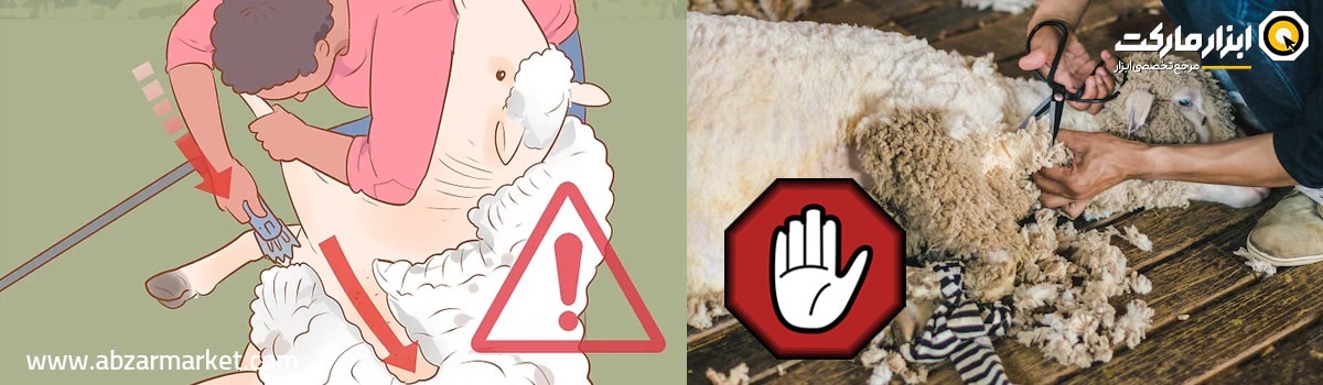 مشکل برش دوم در پشم چینی