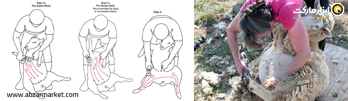 پوزیشن و موقعیت شروع در پشم چینی