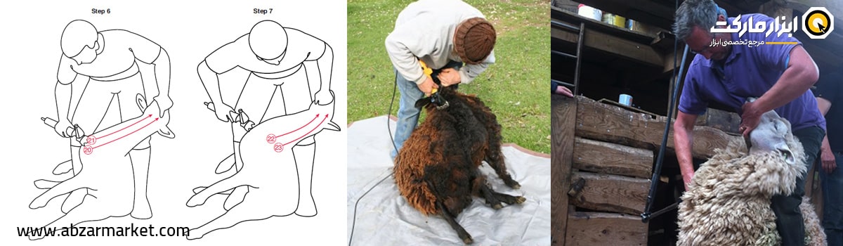 پوزیشن سوم پشم چینی