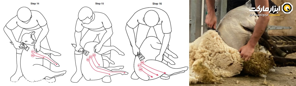پوزیشن 6 و نهایی در پشم چینی