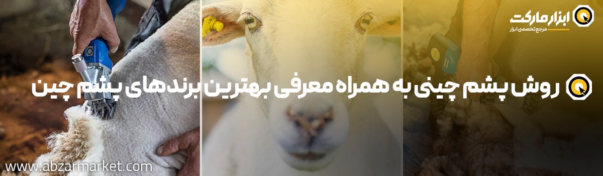 آموزش پشم چینی و معرفی بهترین برند پشم چین