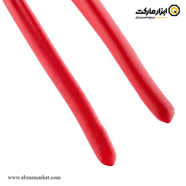 انبر کلاغی رونیکس 10 اینچ آلمانی مدل RH-1436